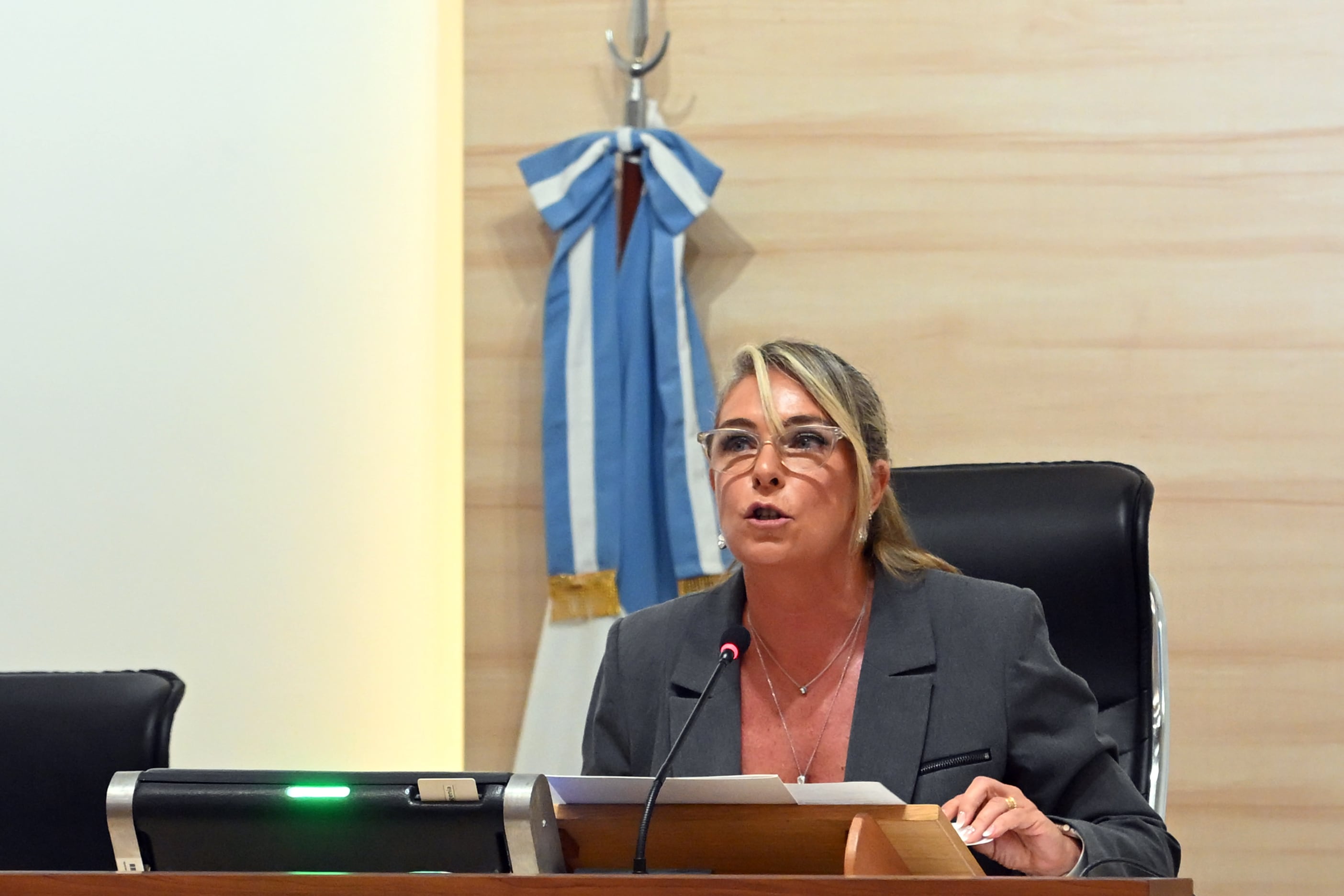 Maria Eugenia Schmuck presidenta del concejo de Rosario