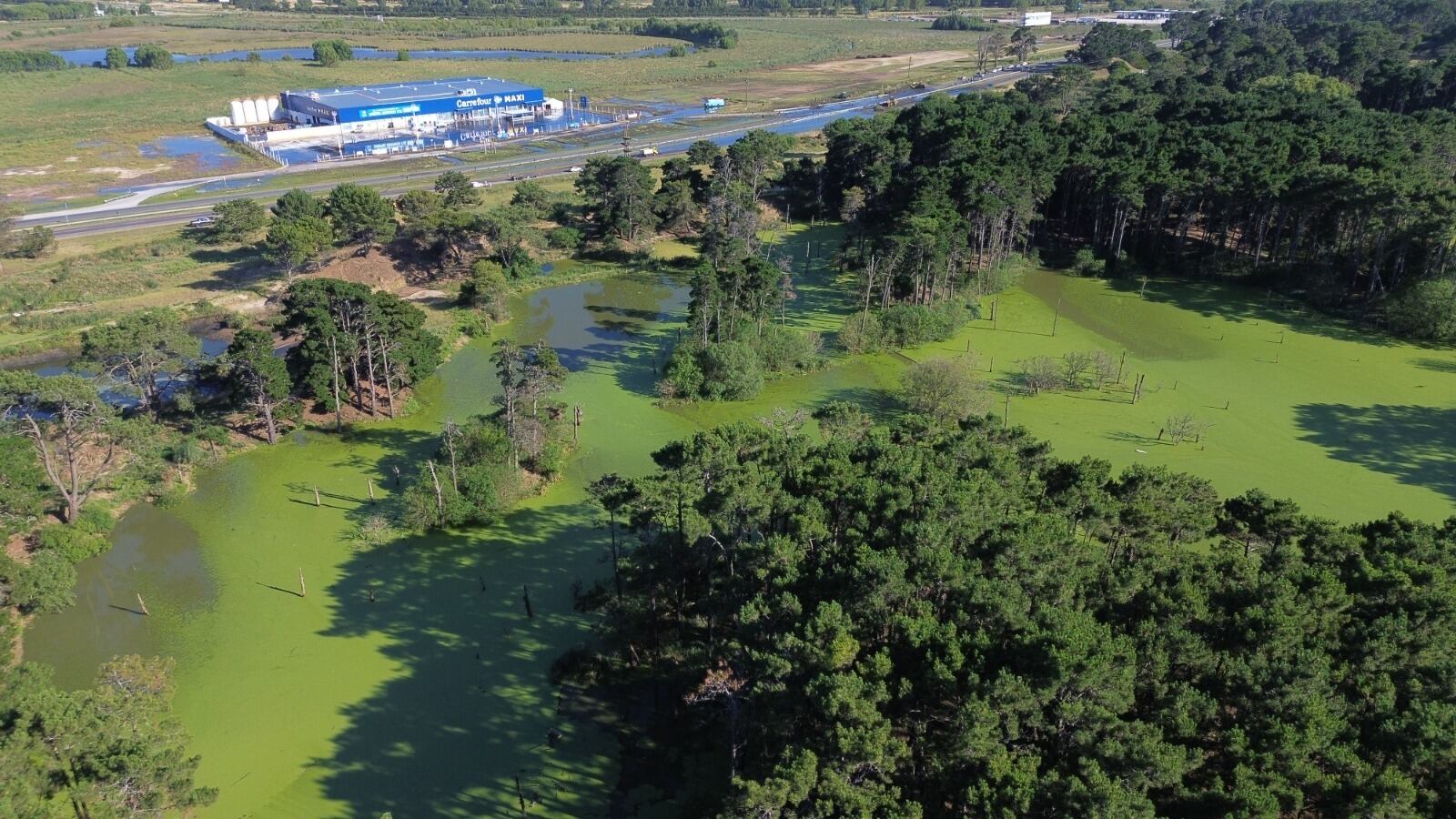 derrame cloacal de Pinamar