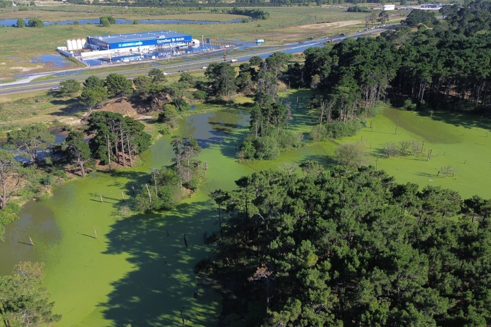 derrame cloacal de Pinamar