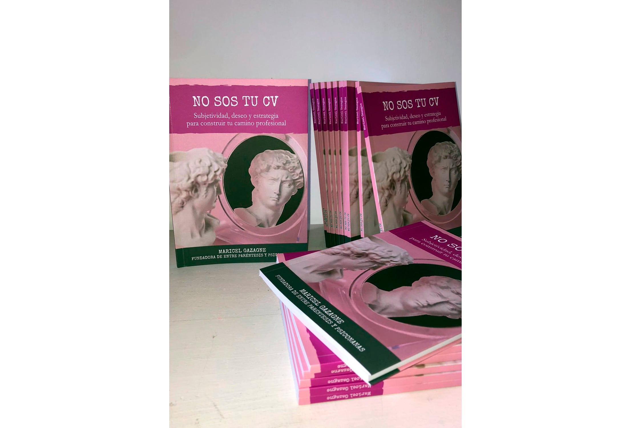 Maricel Gazagne libro no sos tu cv