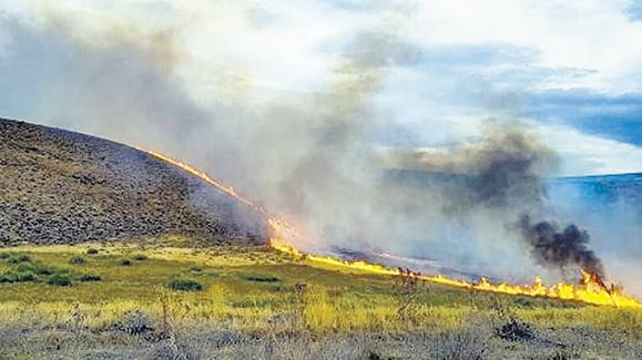 El fuego se originó a un costado de la ruta 237, al este de Neuquén.