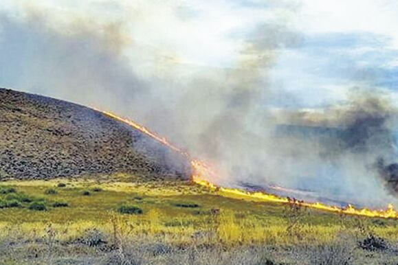 El fuego se originó a un costado de la ruta 237, al este de Neuquén.