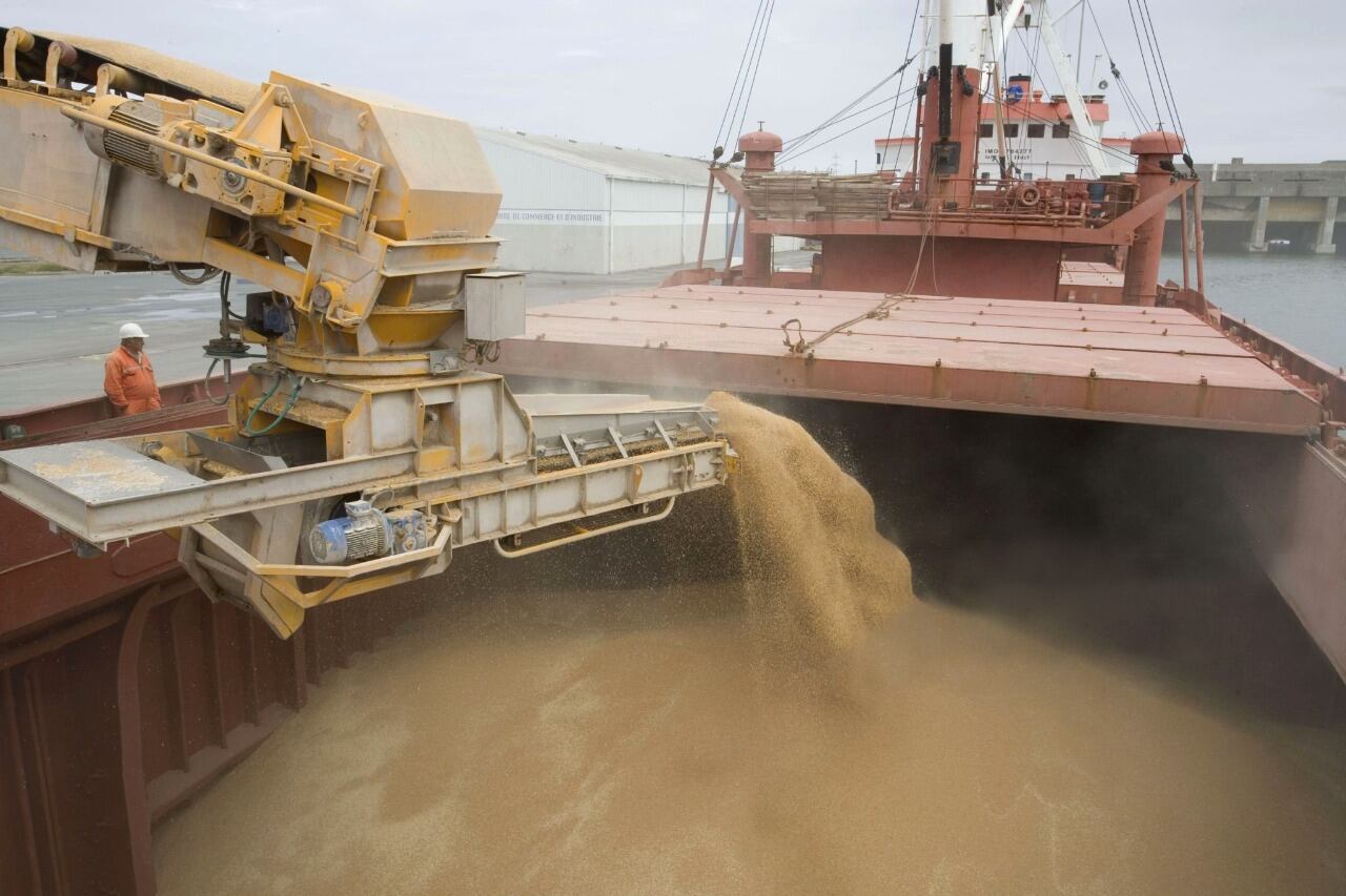 Grandes exportadoras de cereales asoman como algunas de las empresas que deberán tributar.