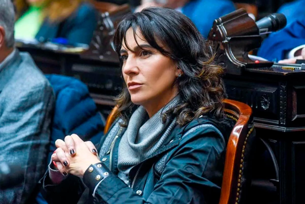 Natalia de la Sota: “Me sorprendió el nivel de desconocimiento del Gobierno” – Página|12