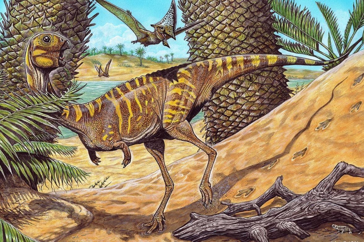 Los fósiles del nuevo dinosaurio fueron hallados en Brasil entre 2011 y 2014.