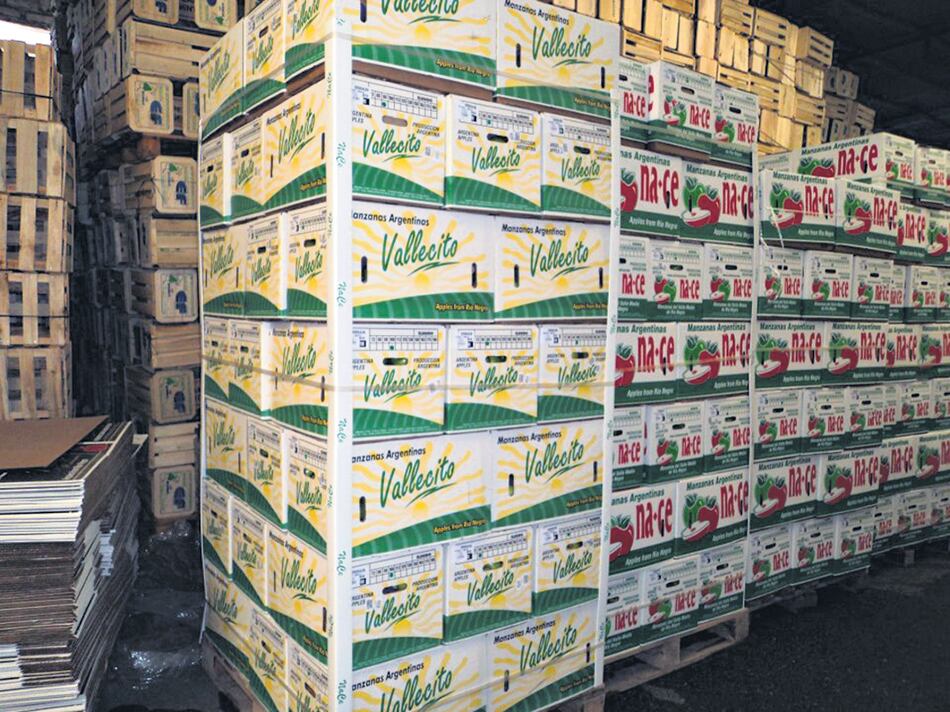 La productora de peras y manzanas Frutas Nace dejará en la calle a 40 familias.