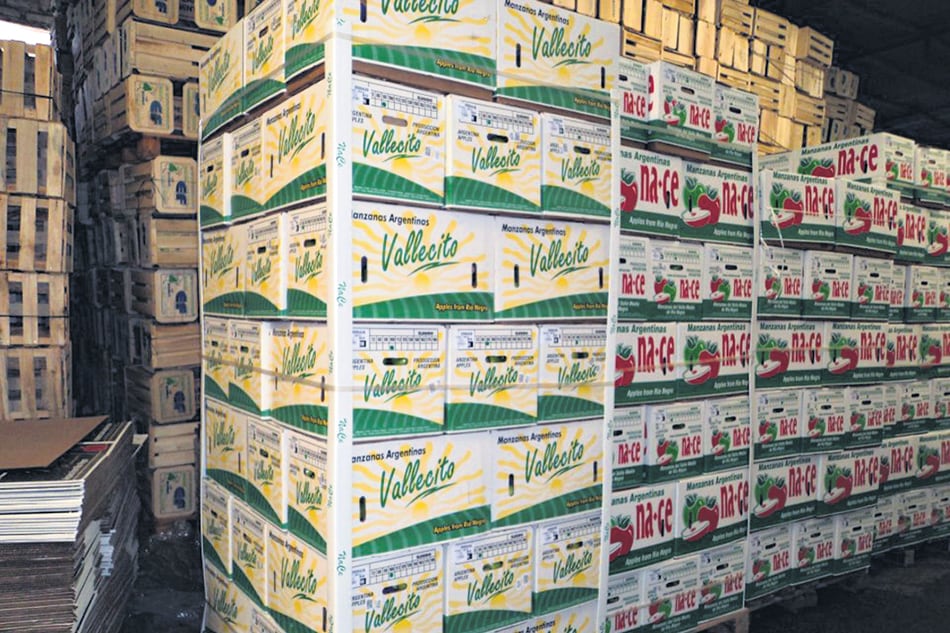 La productora de peras y manzanas Frutas Nace dejará en la calle a 40 familias.