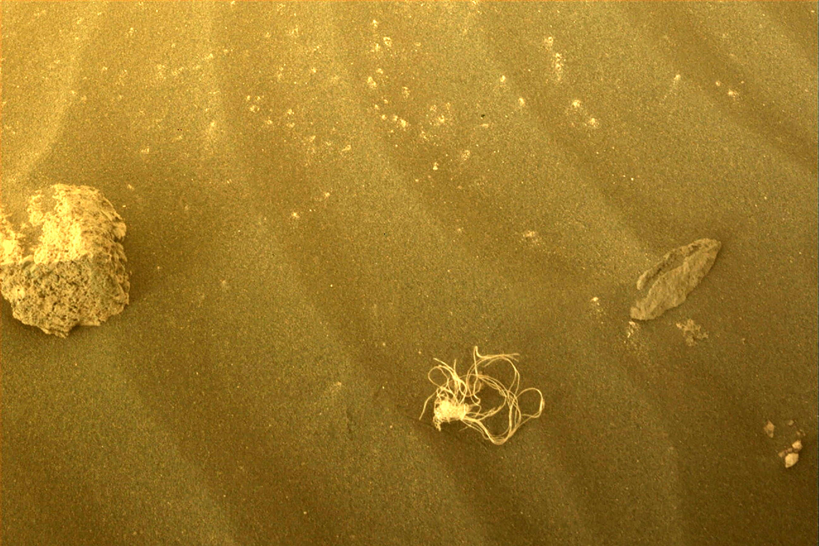 El rover Perseverance, que aterrizó en Marte hace un año y medio, ya ha recogido 11 muestras de rocas. Foto: AFP /NASA/JPL-Caltech