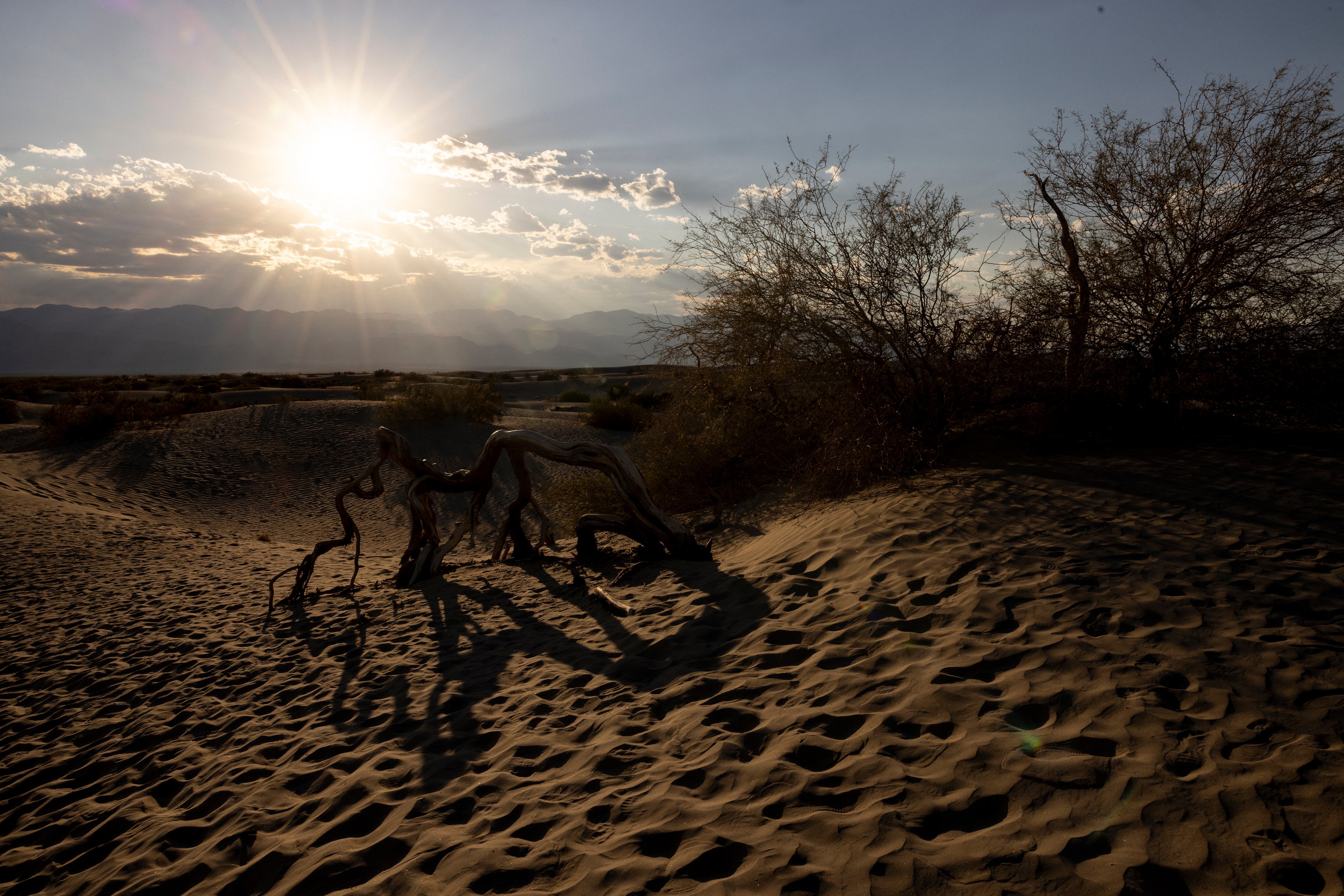 Las temperaturas globales en 2024 estuvieron 1,28 grados por encima de los registros del siglo XX