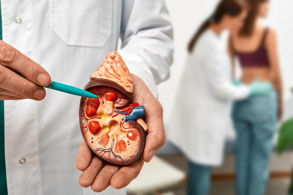 El riñon de las mujeres resiste más.