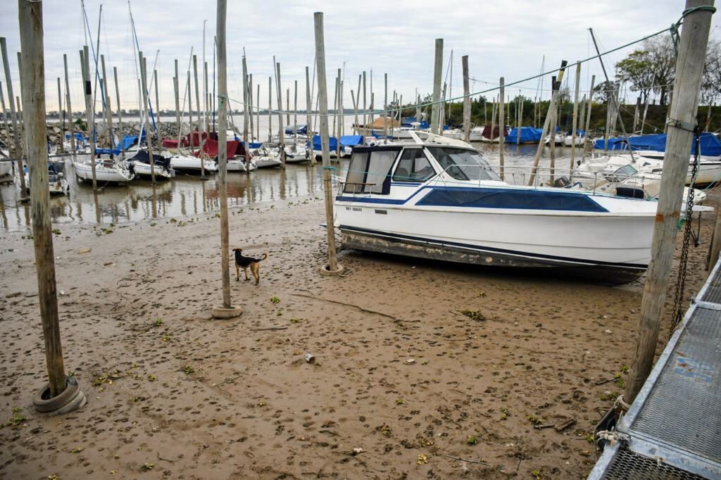 Bajante del Paraná: a la altura de Rosario el río ya bajó más de tres metros su nivel promedio.