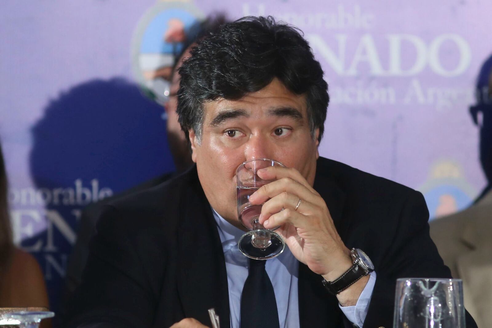 Zannini hizo la presentación en nombre del Gobierno e incorporó el pedido de juicio político.