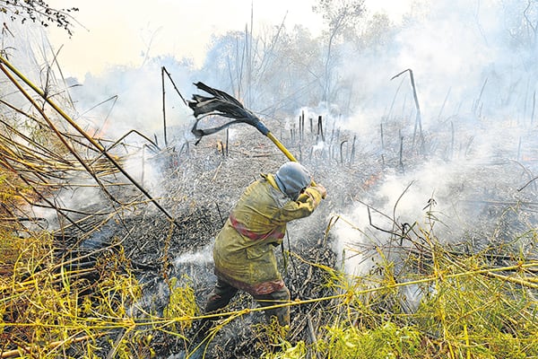 Gran parte de los incendios forestales es intencional.