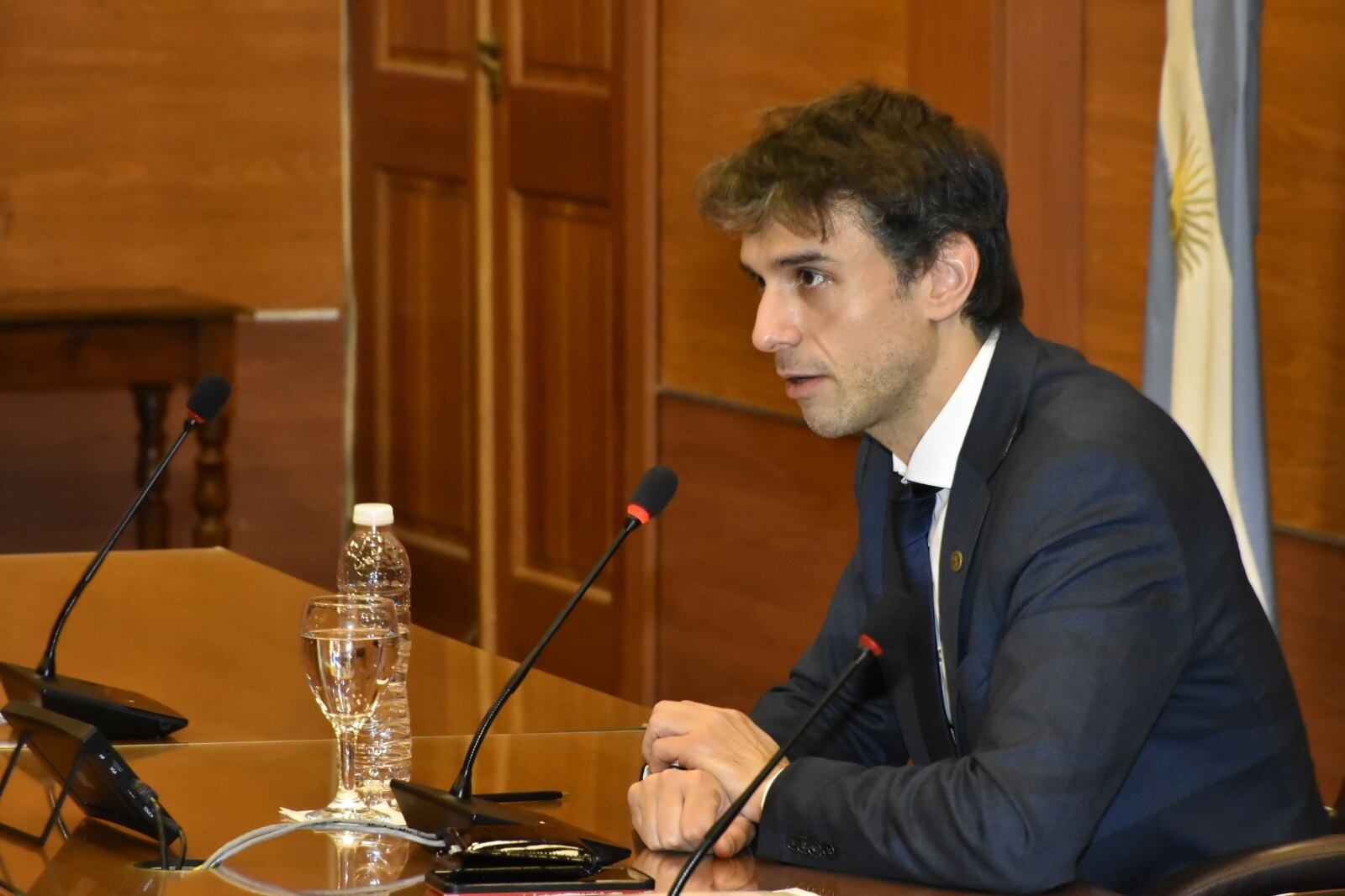 Guido Croxatto, director de la Escuela de Abogados.