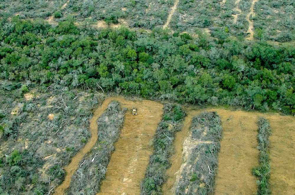 Imagen aérea del desmonte en la finca San Francisco