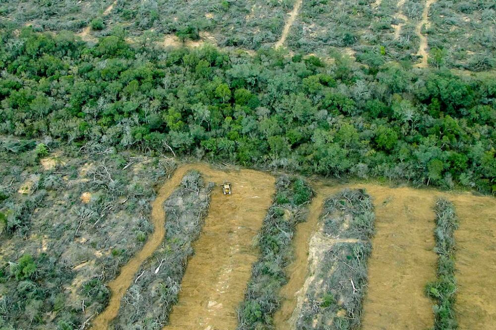 Imagen aérea del desmonte en la finca San Francisco