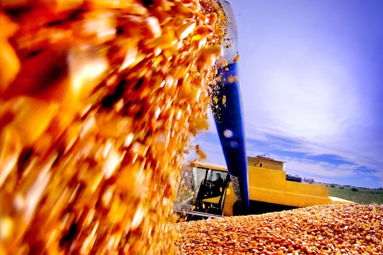 El objetivo de la medida es que 4,27 millones de toneladas queden disponibles para el consumo interno.