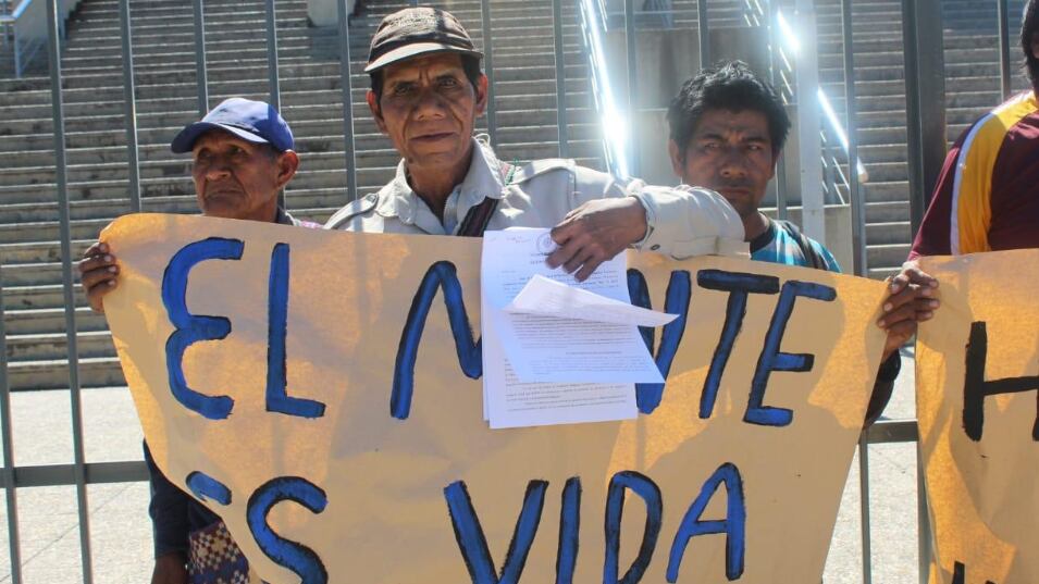 Juan de Dios López en la demanda por desmontes 