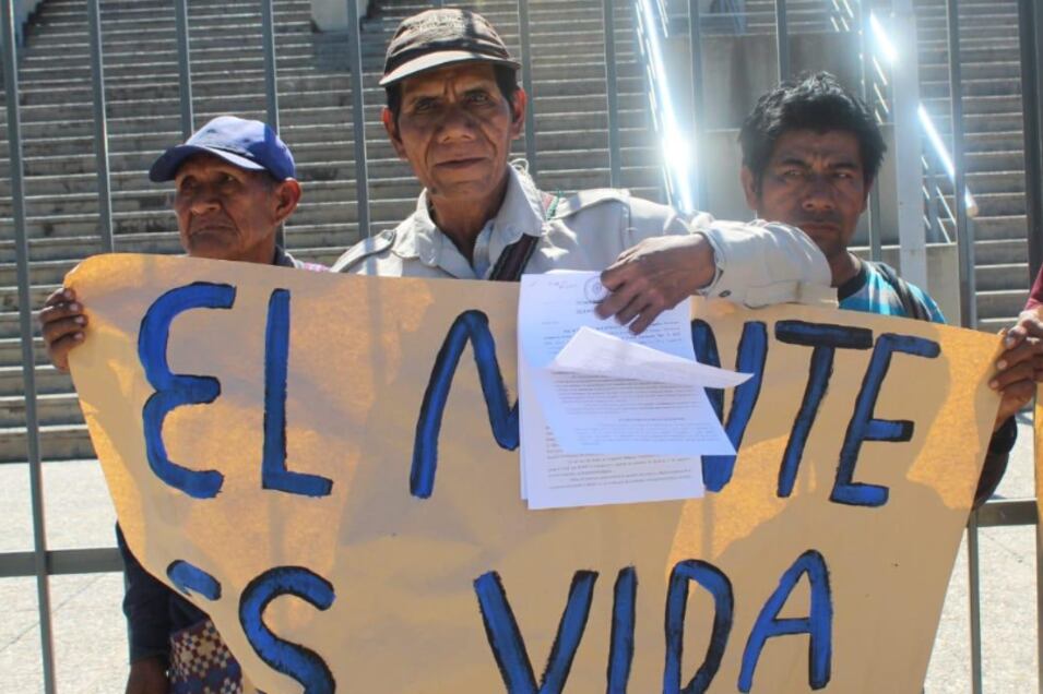 Juan de Dios López en la demanda por desmontes