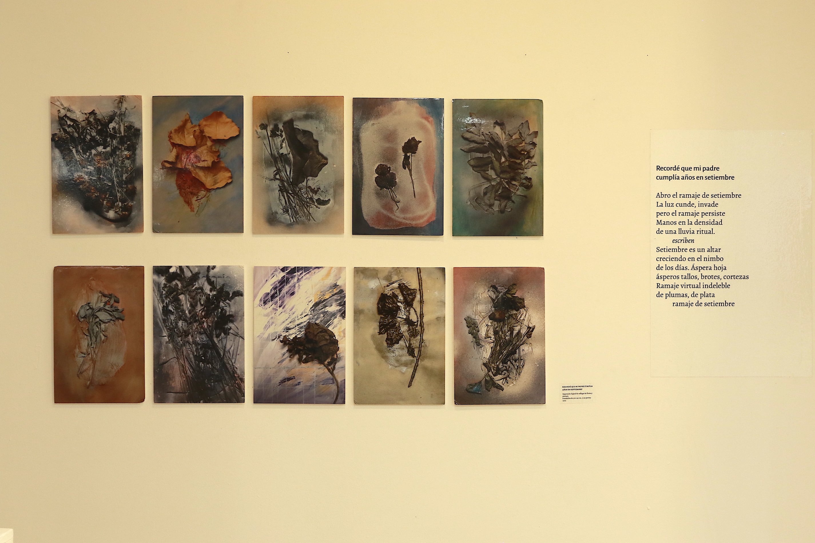 Serie Recordé que mi padre cumplía años en septiembre, 2012, collage y tinta, de Bernardello. Abajo: Vista parcial de la muestra de Bernardello.