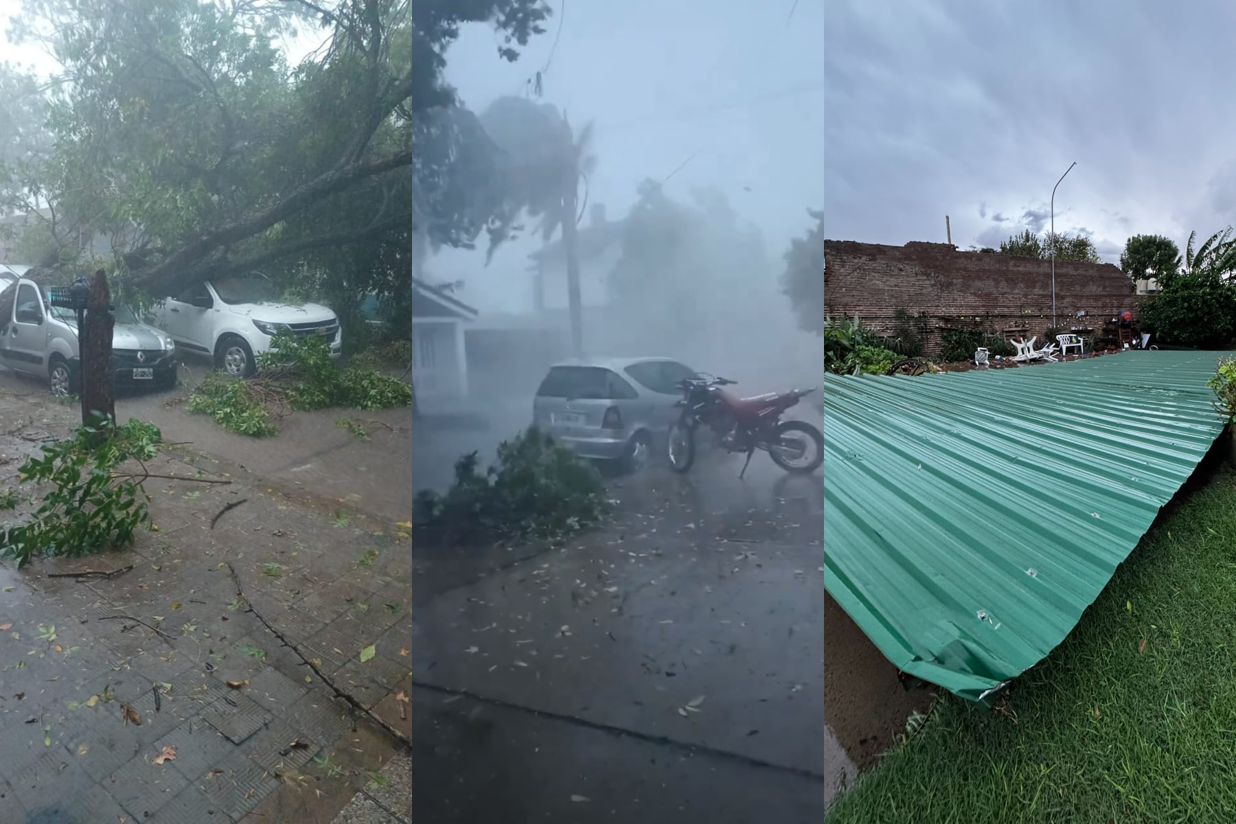 Fuerte temporal en el sur de Córdoba y Santa Fe: calles anegadas, árboles caídos, y cortes de luz masivos