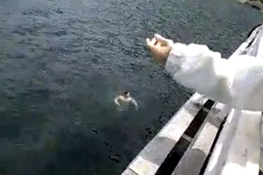 Según los testigos, el hombre llegó hasta el muelle, se sacó la ropa y se tiró al agua