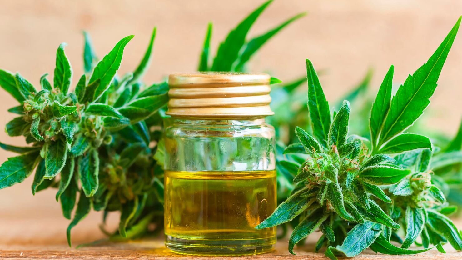 Quienes tengan indicado el cannabis medicinal podrán obtenerlo en las farmacias.