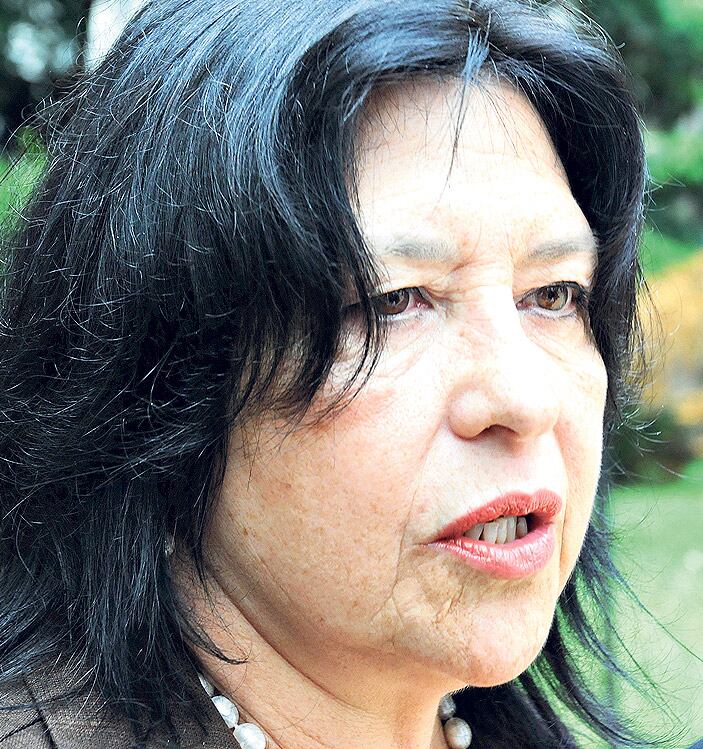 Figueroa puso en duda que Borinsky y Hornos estén en condiciones de intervenir en las causas.