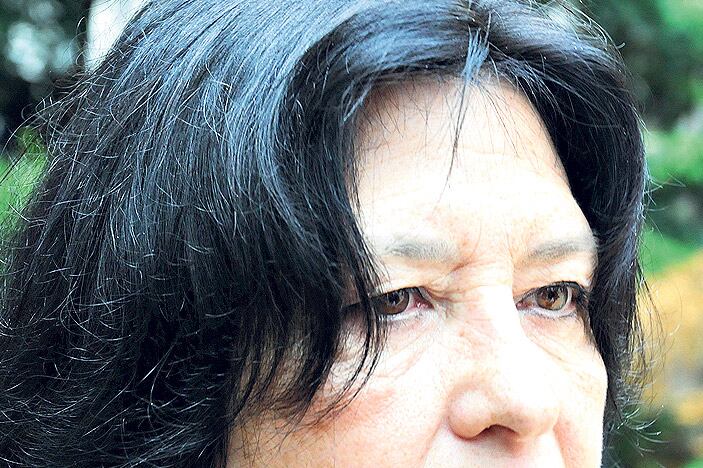 Figueroa puso en duda que Borinsky y Hornos estén en condiciones de intervenir en las causas.