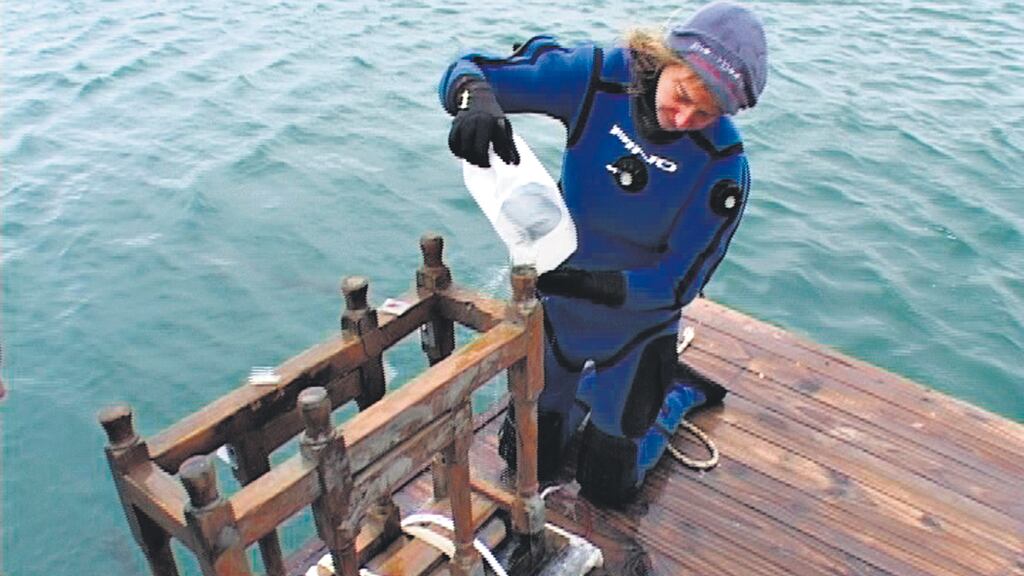 Las piezas rescatadas bajo el mar deben ser sometidas a un tratamiento especial.
