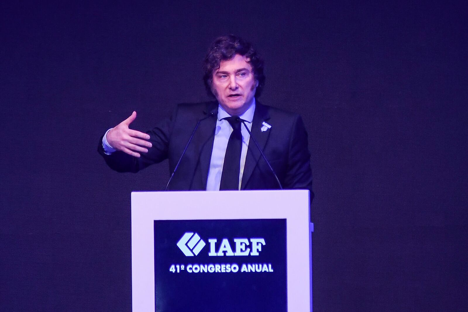 Javier Milei en modo agresivo y desafiante. "Me critican porque son una manga de ignorantes"