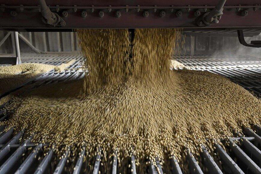 El agro liquidó 8 millones de dólares el primer día del dólar diferencial