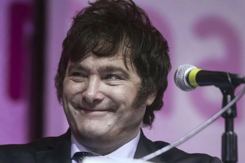 Javier Milei y un DNU