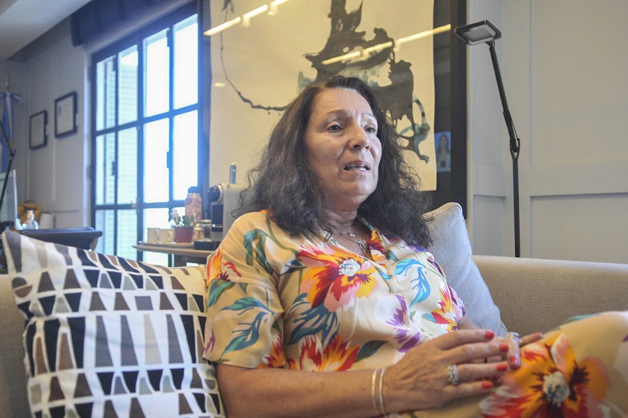 "Durante el macrismo la AFI se usó para hacer inteligencia ilegal", dice Cristina Caamaño.