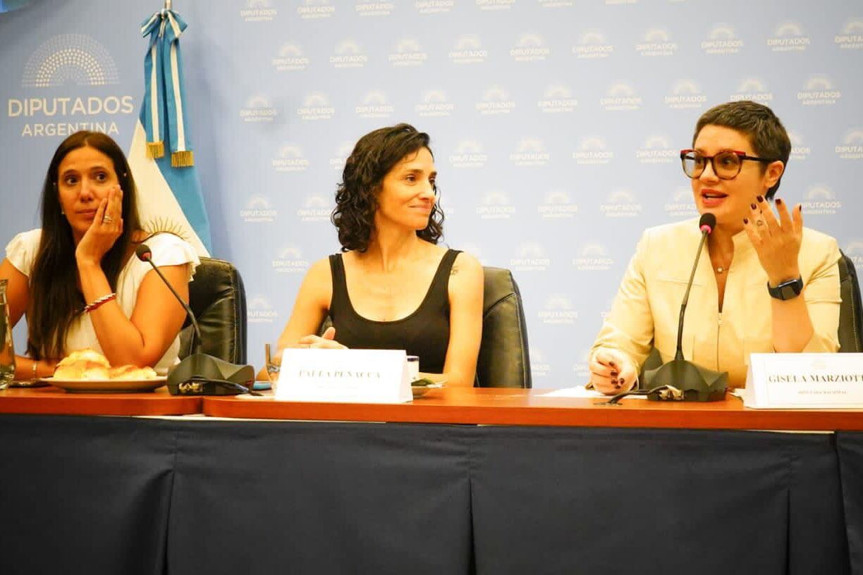 Las diputadas del Frente de Todos Gisela Marziotta y Paula Penacca realizaron la convocatoria.
