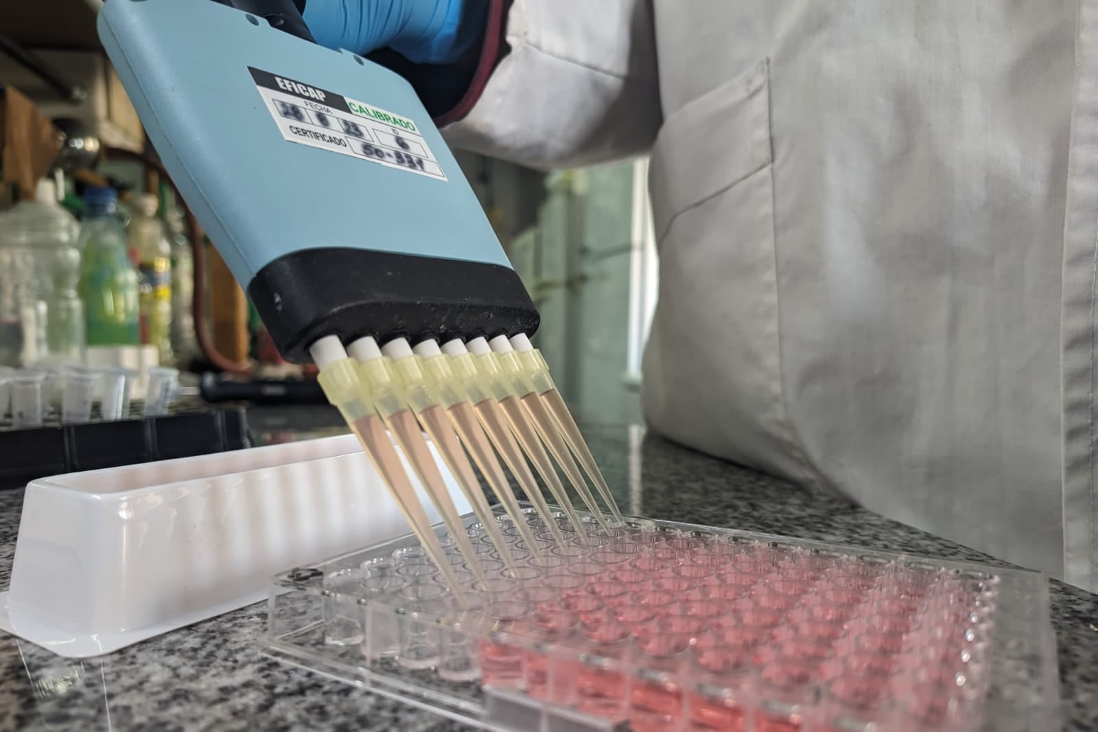 El kit fue elaborado por investigadores bonaerense.