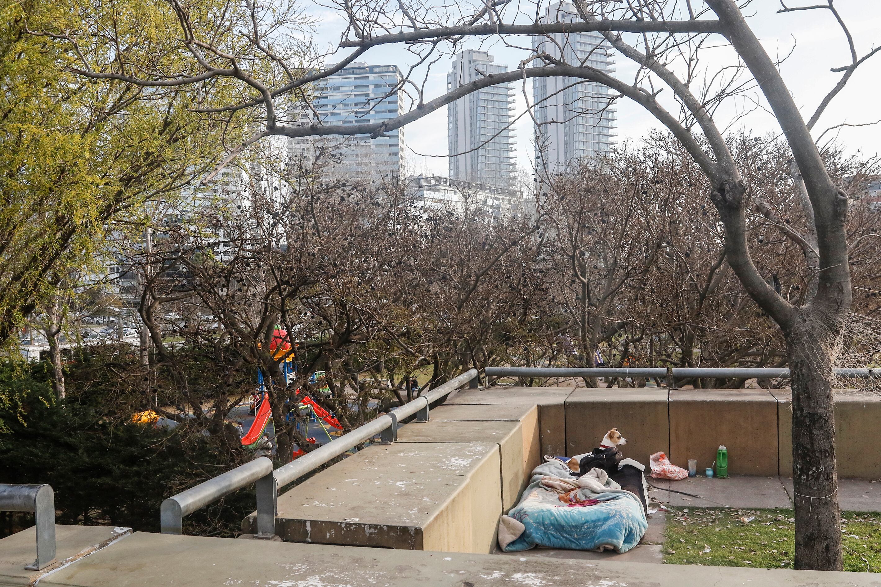 El 62,2 por ciento de la población percibió algún ingreso, cuyo promedio fue igual a 92.881 pesos.