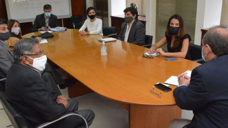 Reunión del Comité con el Ministro de Gobierno en 2020