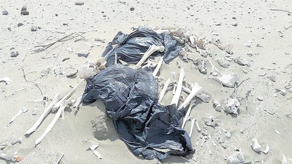 Los restos quedaron al descubierto por los vientos.