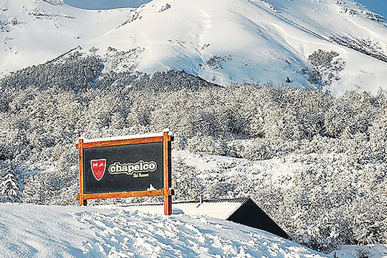 El proyecto de la empresa Nieves de Chapelco nunca fue revisado por el ente que regula la Ley de Bosques.