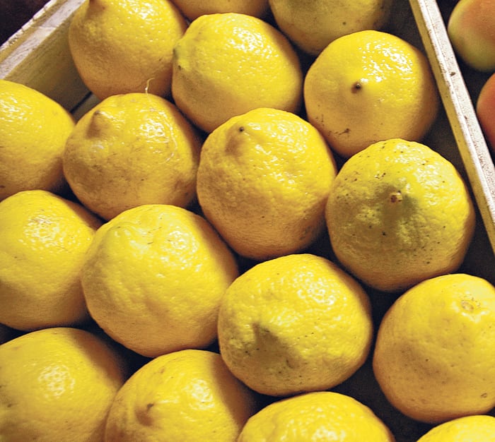 El primer embarque a EE.UU. estaba previsto para mañana. El proteccionismo de Trump lo impedirá.