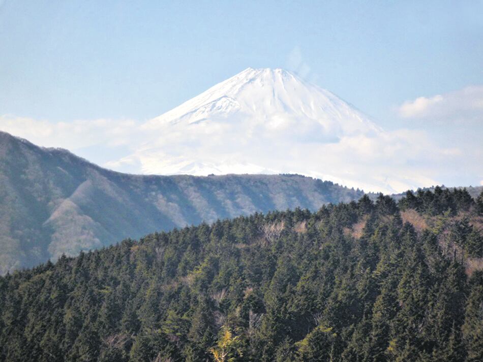 Fuji-san, el volcán de 3776 metros que se divisa incluso desde Tokio, aquí en Hakone.