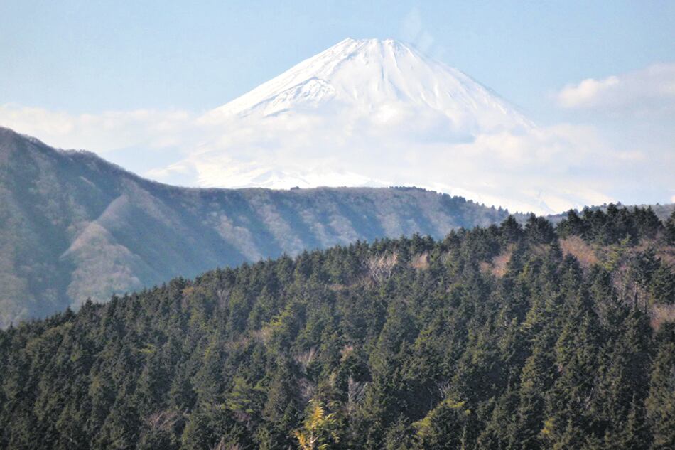 Fuji-san, el volcán de 3776 metros que se divisa incluso desde Tokio, aquí en Hakone.