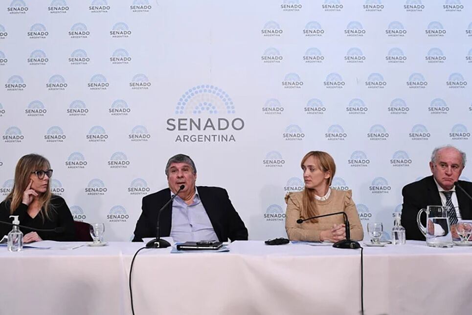La Comisión de Asuntos Constitucionales abrió el debate, que seguirá con la exposición de expertos.
