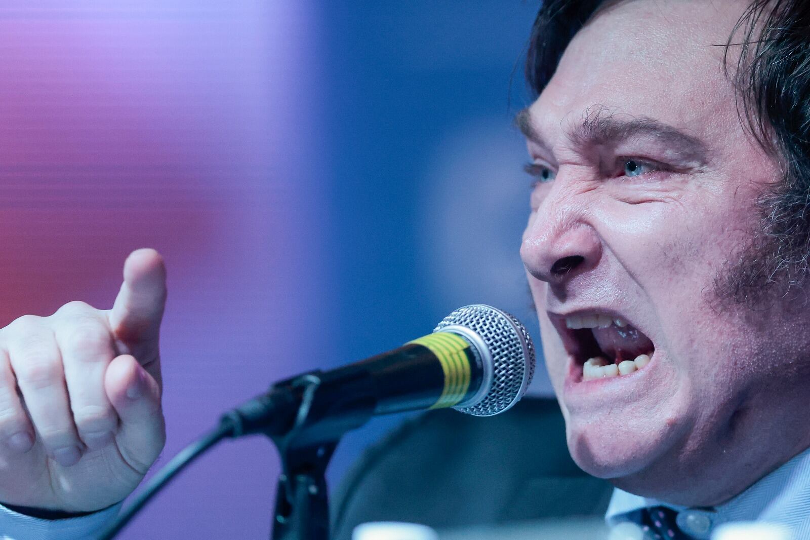 Las metáforas sexuales a las que Javier Milei recurre constantemente incitan al pánico moral