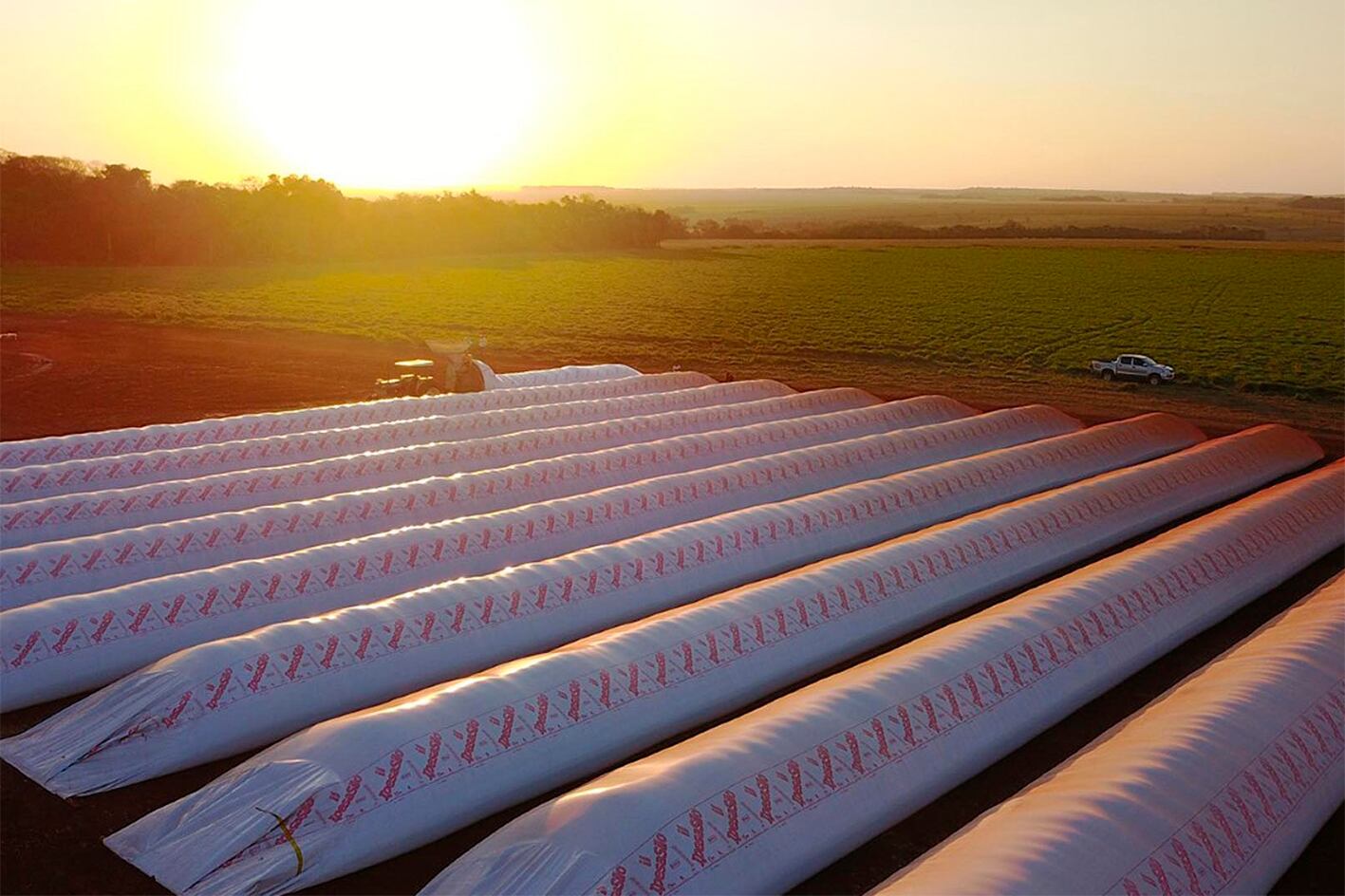 A contramano de la tendencia global, el agro argentino fue incrementando sus stocks.