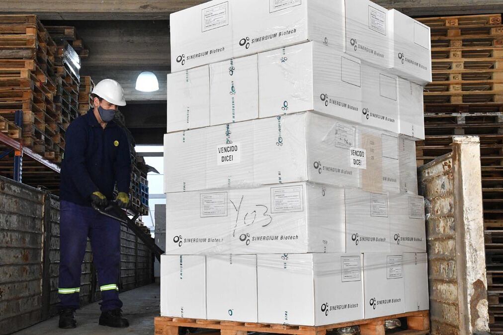 El organismo reconstruyó el increíble trayecto de las vacunas, que llegaron a pasar siete meses en la terminal de cargas de la aduana.