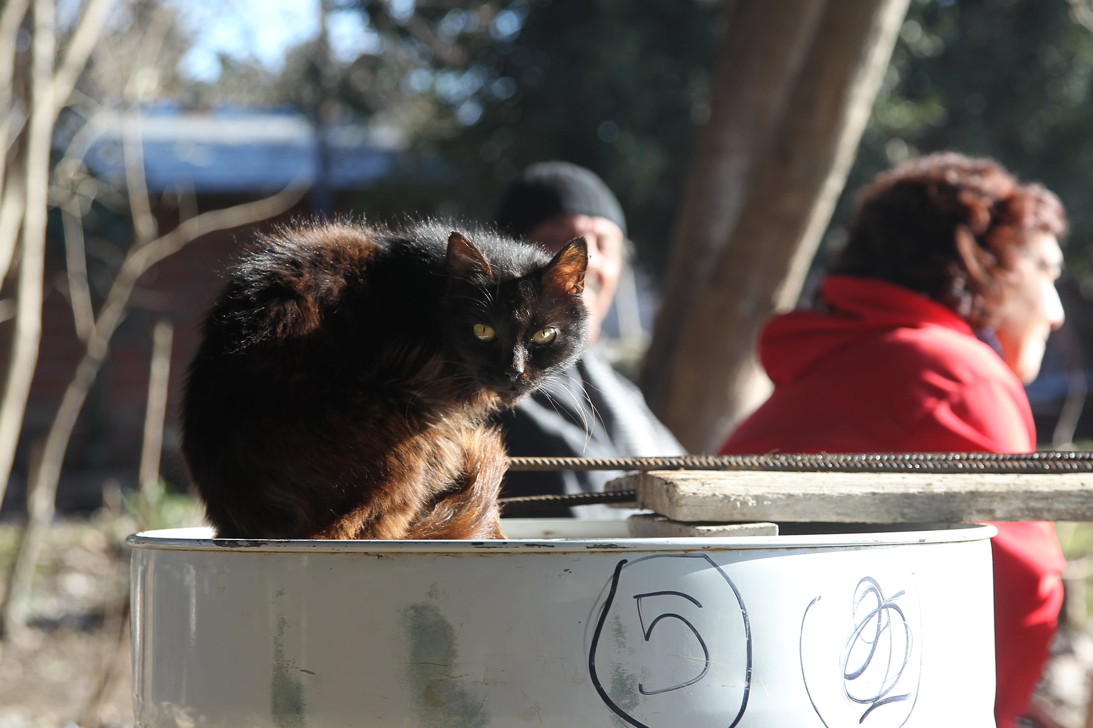 Las canastas son claves para determinar el nivel de pobres e indigentes del país.