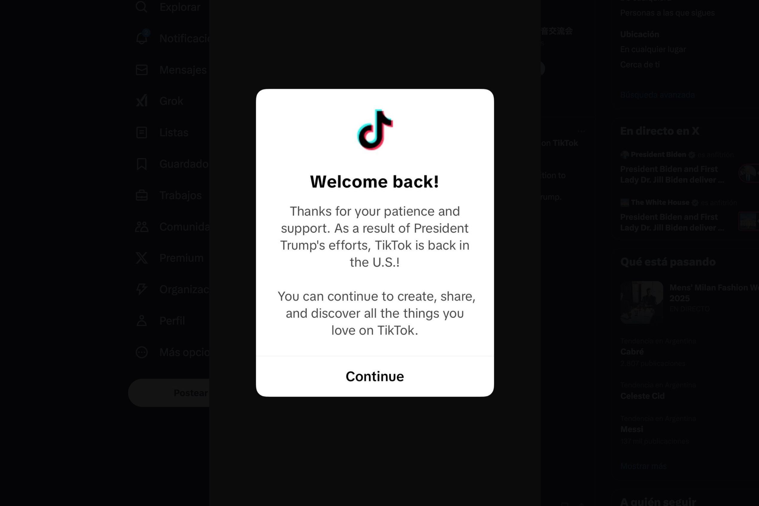 La decisión de TikTok se aplicó aproximadamente una hora y media antes de la entrada en vigor de la ley