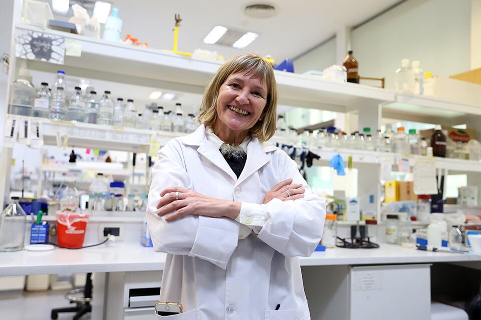 Claudia Banchio, investigadora del Conicet y jefa de grupo en el Instituto de Biología Molecular y Celular de Rosario (IBR, Conicet-UNR).